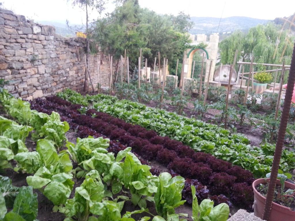 Las Bodegas De Claveria El Humo de Muro Esterno foto